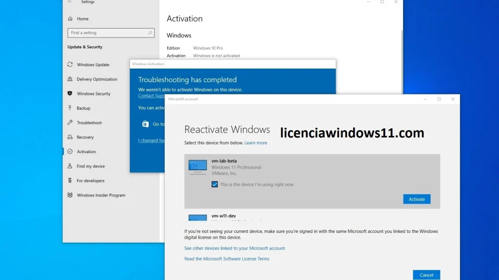 licenciawindows11.com
