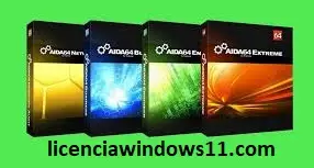 licenciawindows11.com