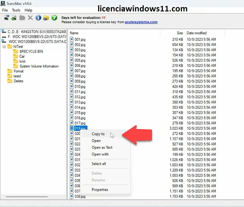licenciawindows11.com