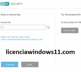 licenciawindows11.com